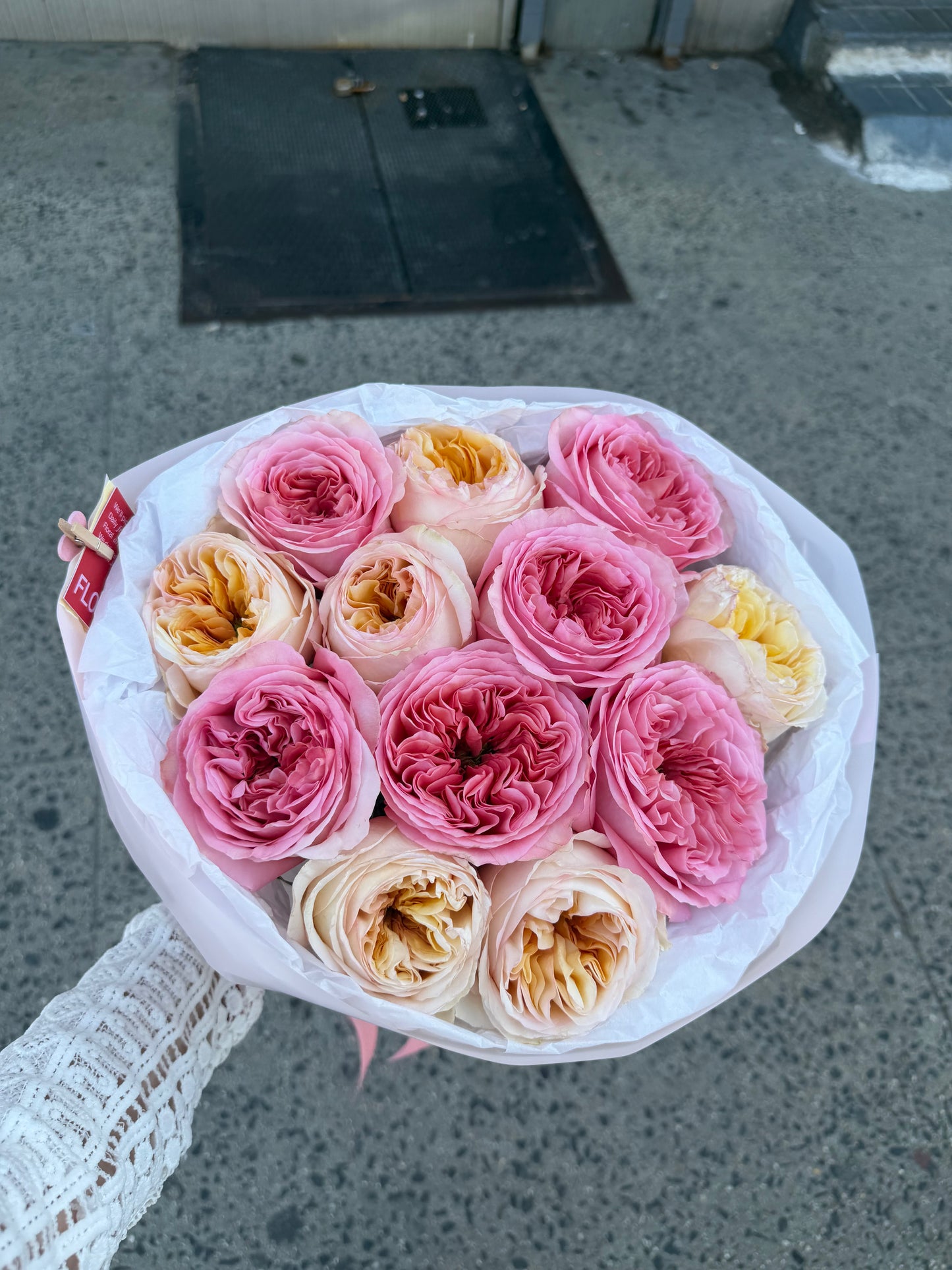 Mix of Garden Roses (Pink Expression Garden Roses, Cream Garden Roses)