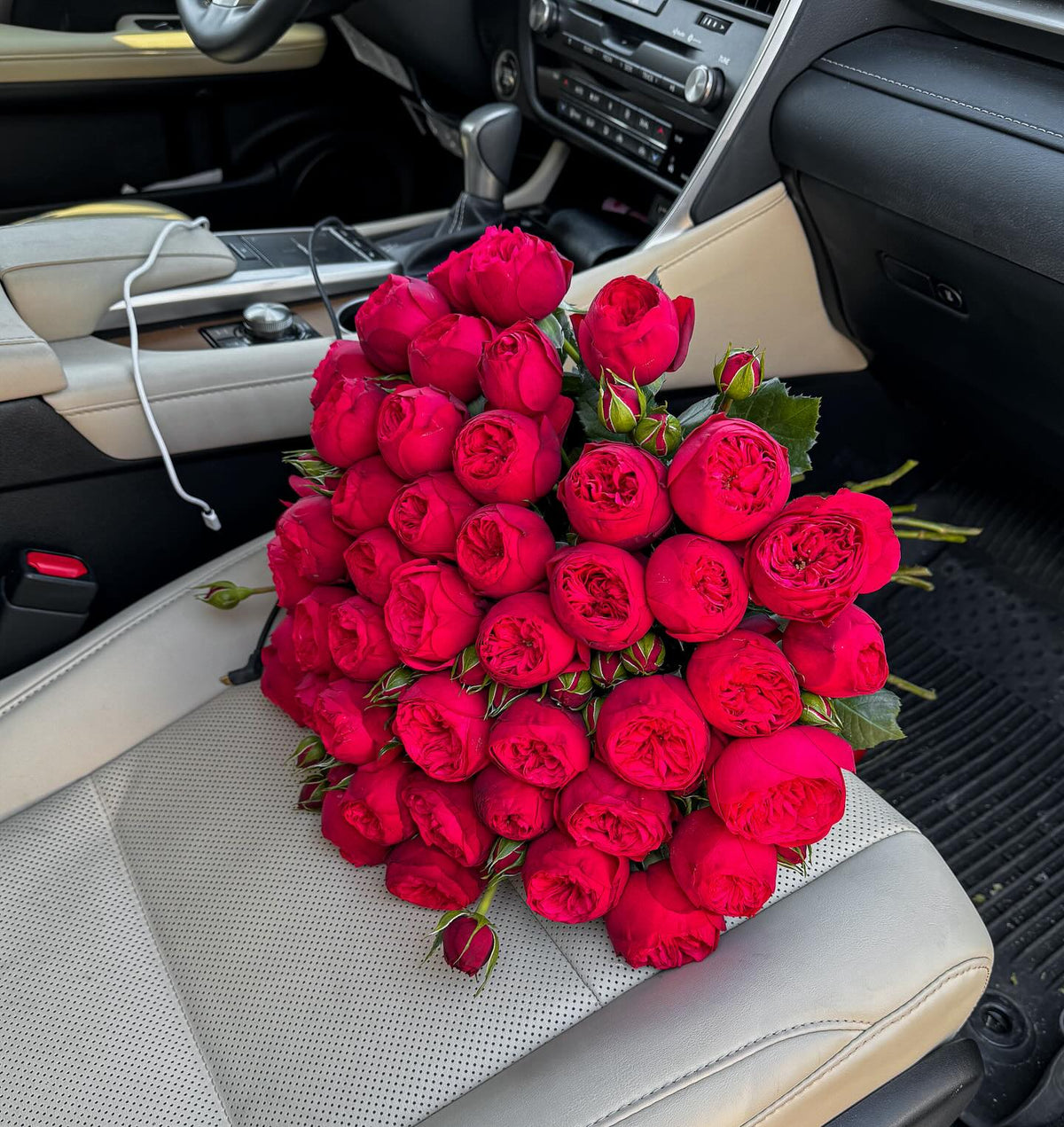 Red Piano Roses
