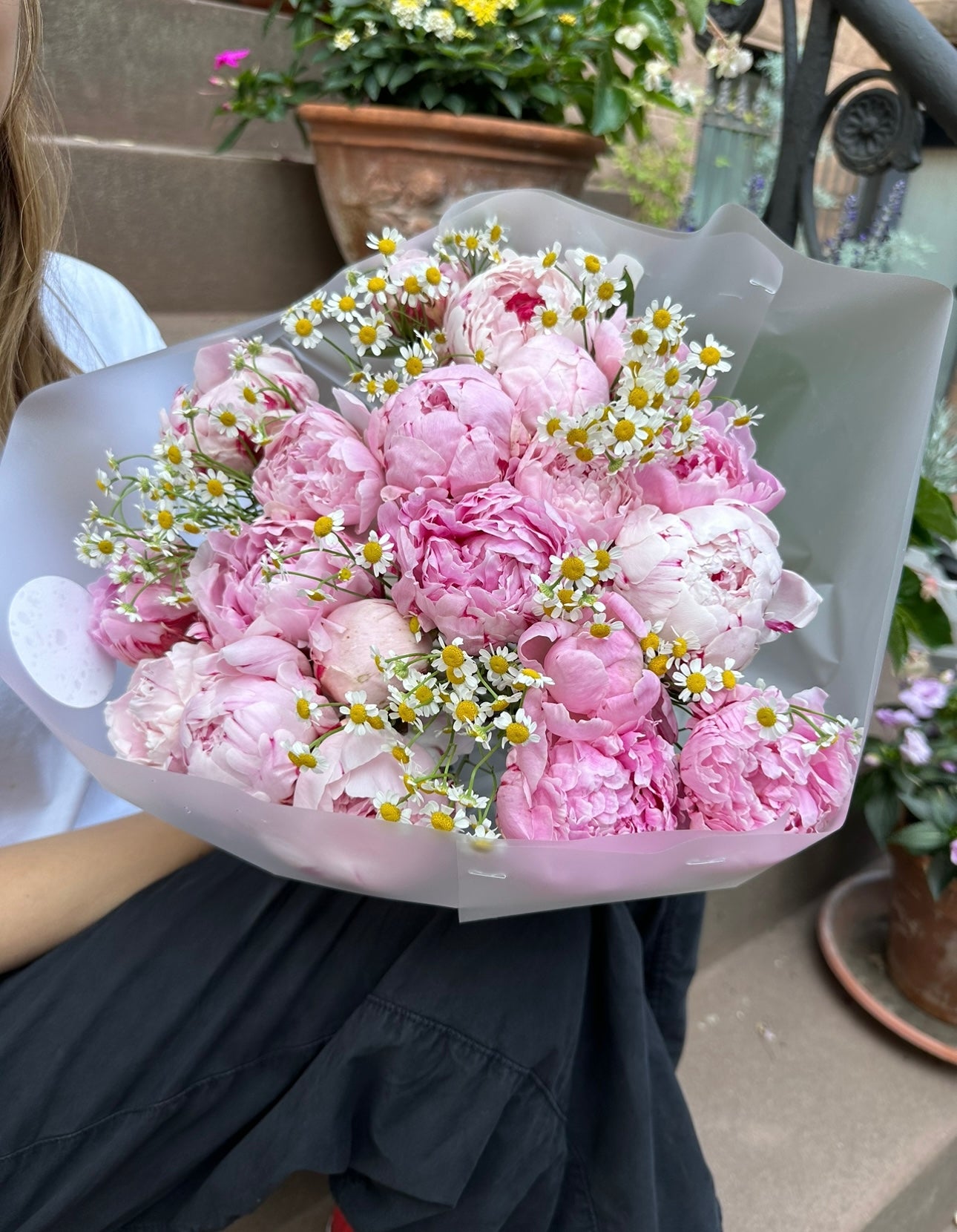 Pink Peonies & Chamomiles