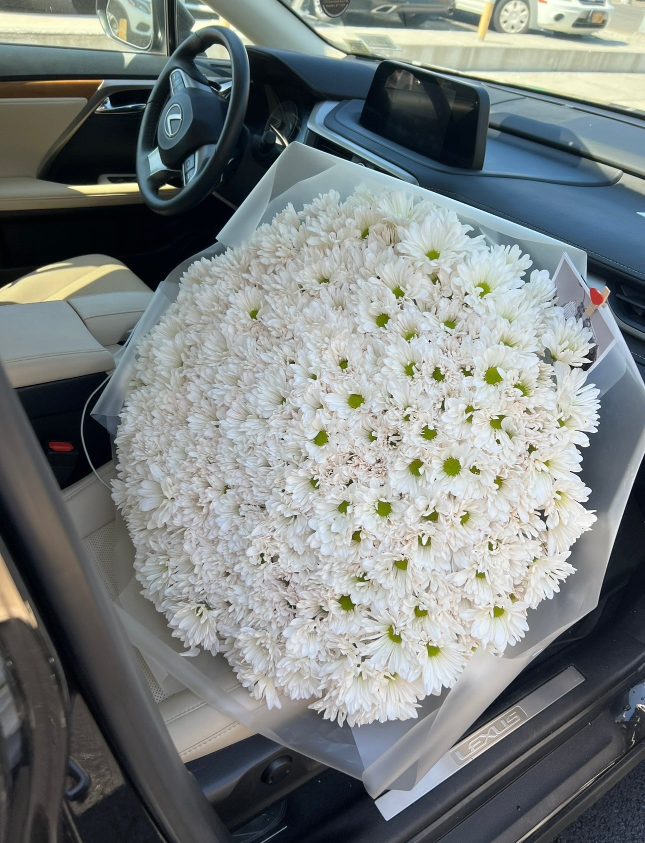 White Daisy