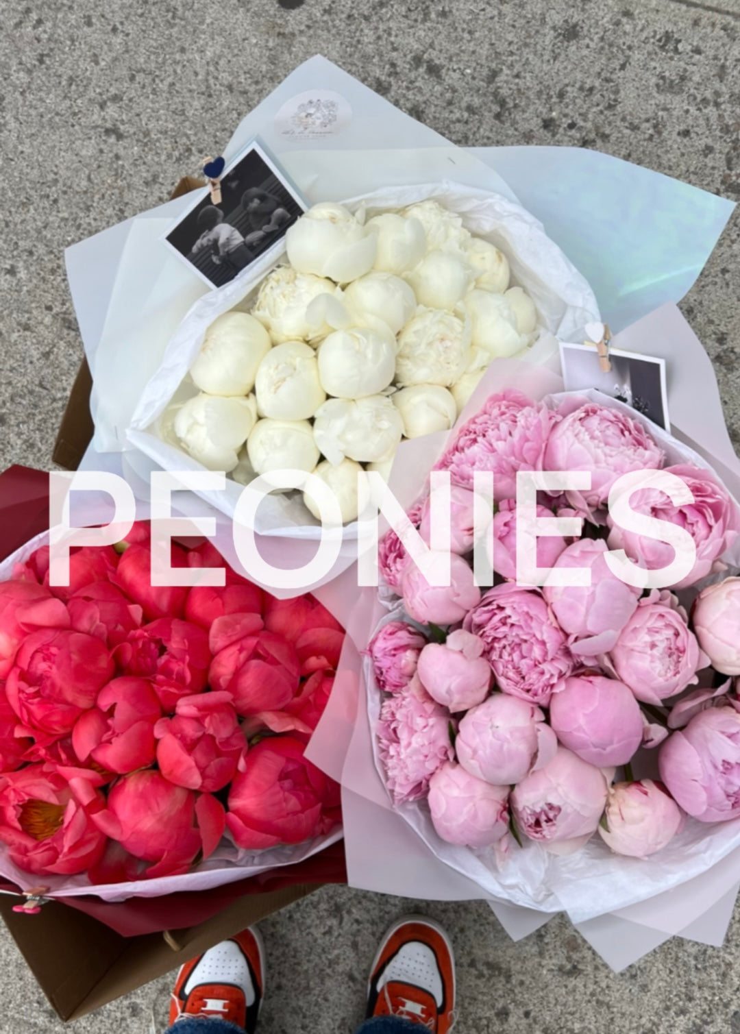Peonies