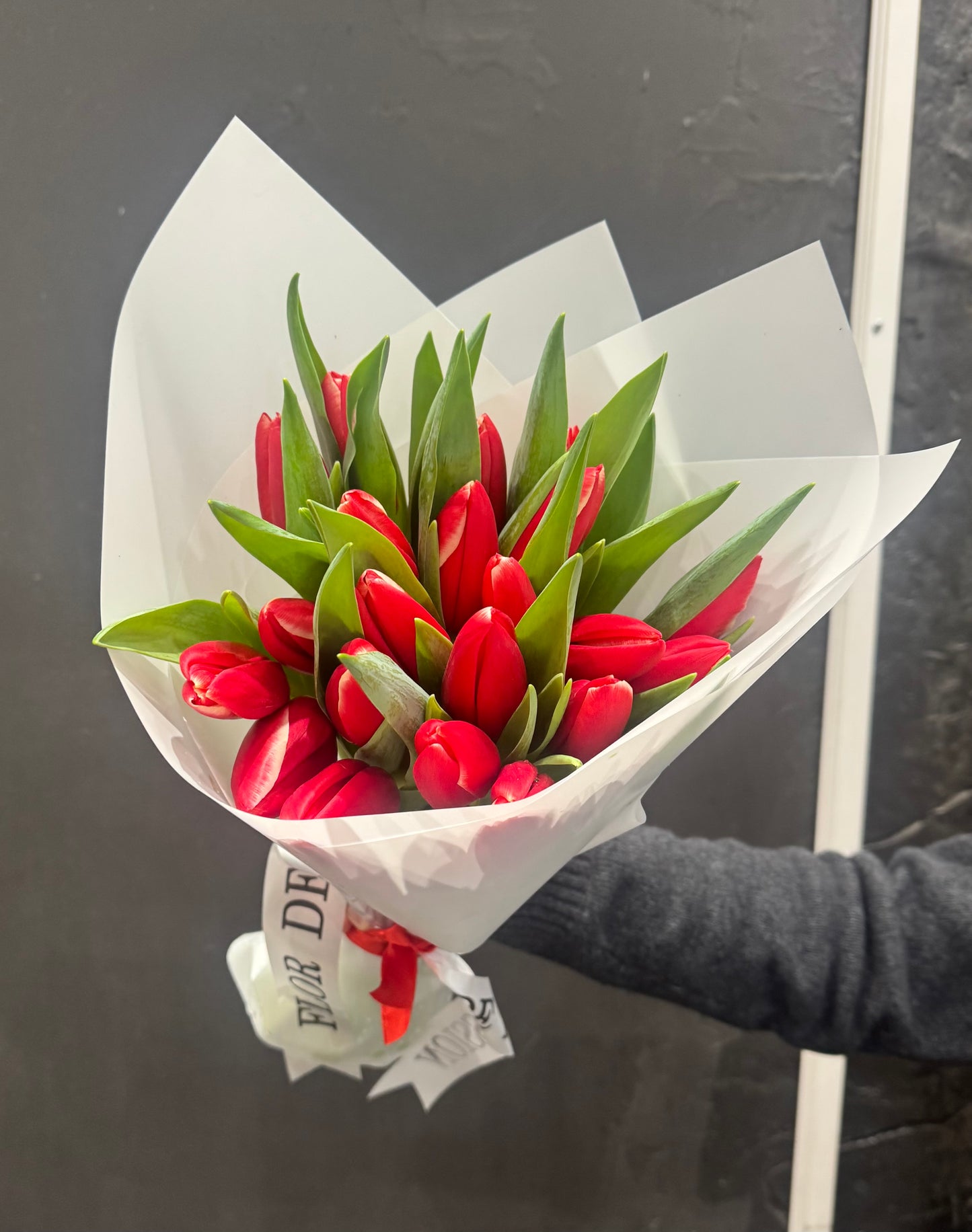 Red Tulips