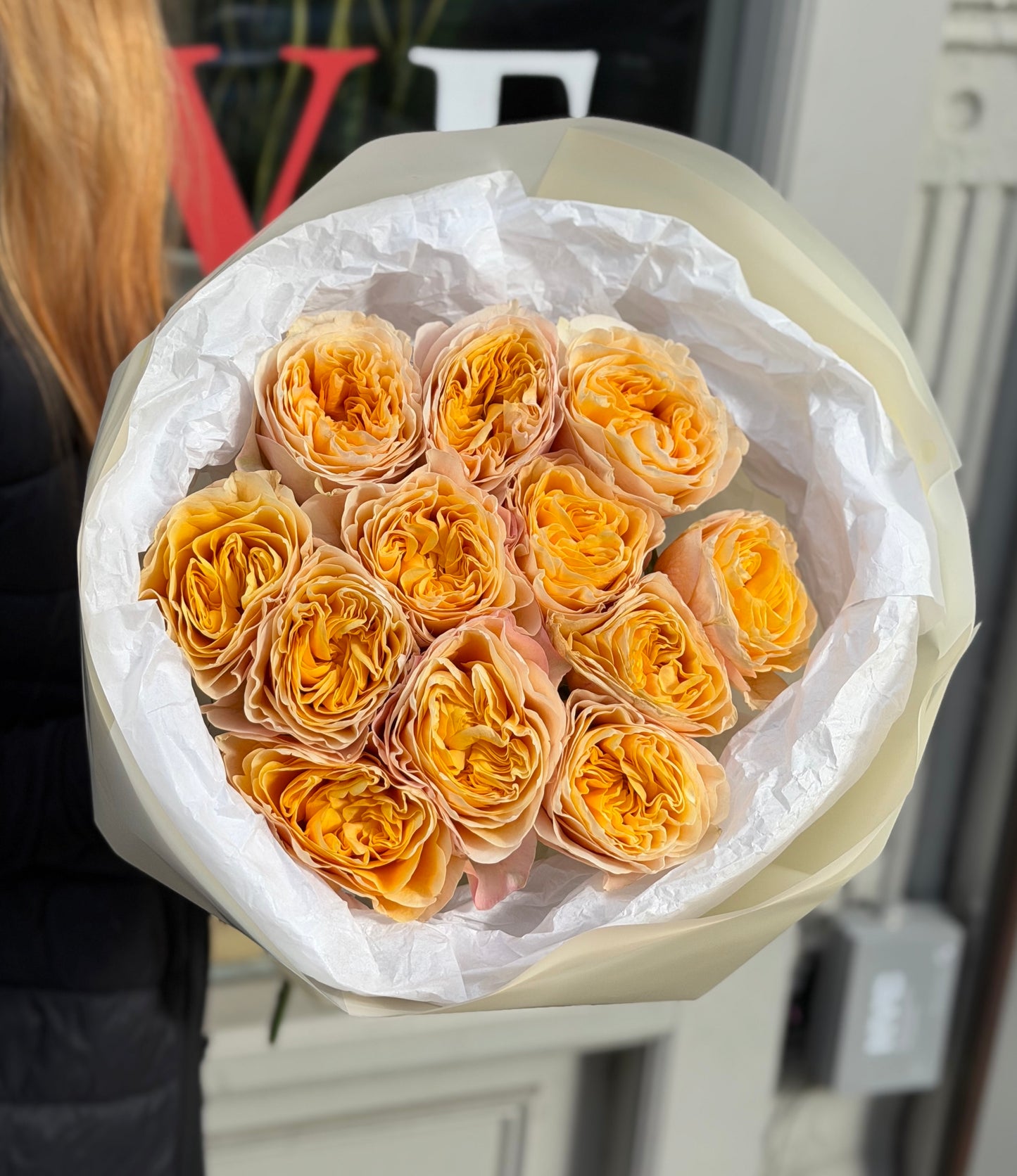 Cream Garden Roses