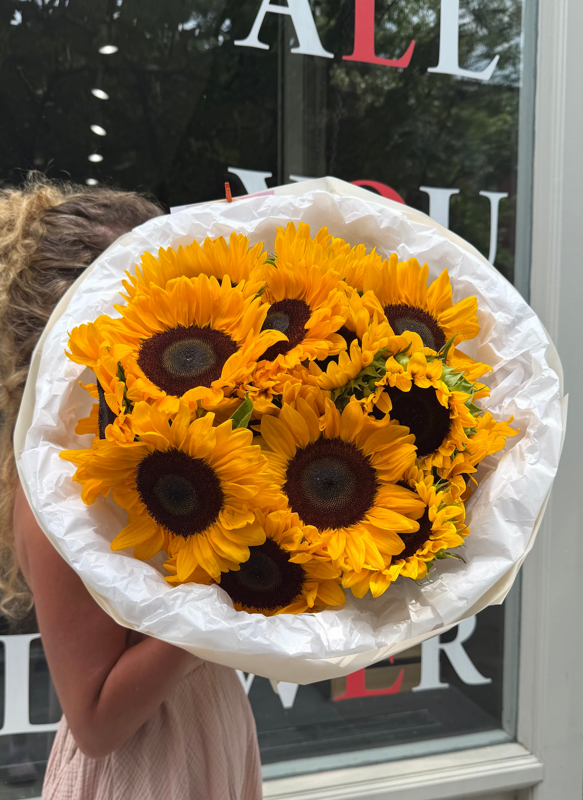 Mono Sunflowers