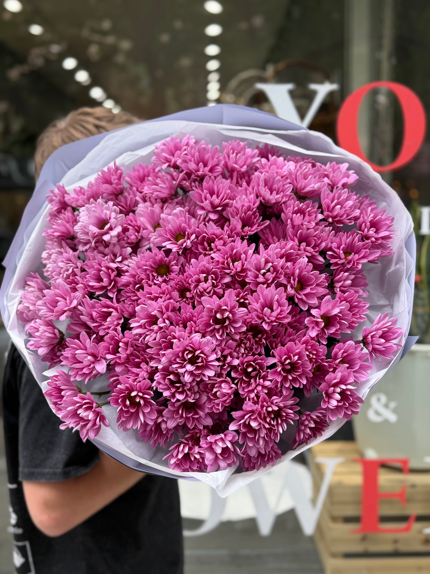 Lavender Daisy