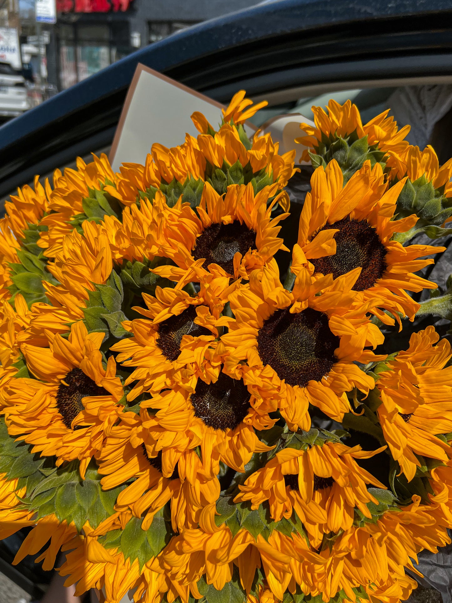 Mono Sunflowers