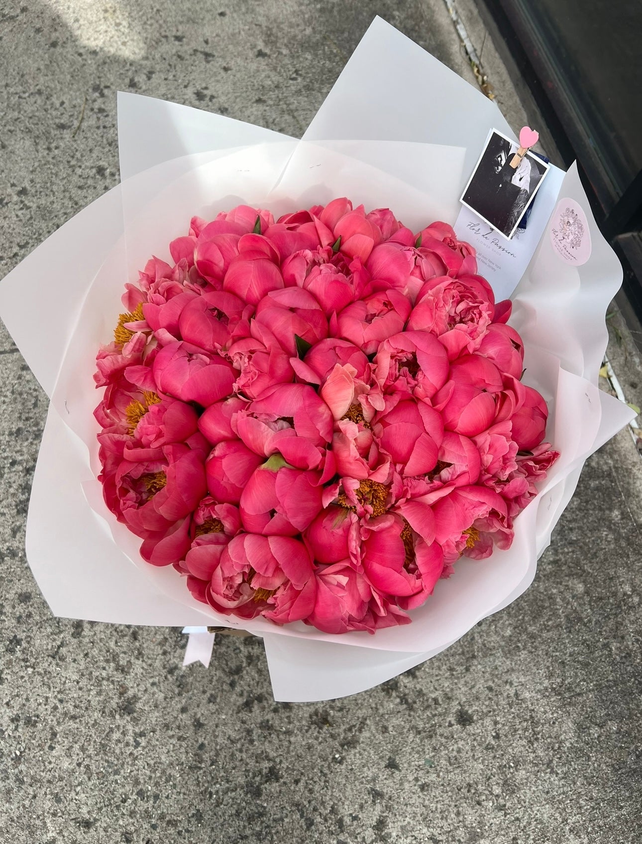 Coral Charm Peonies