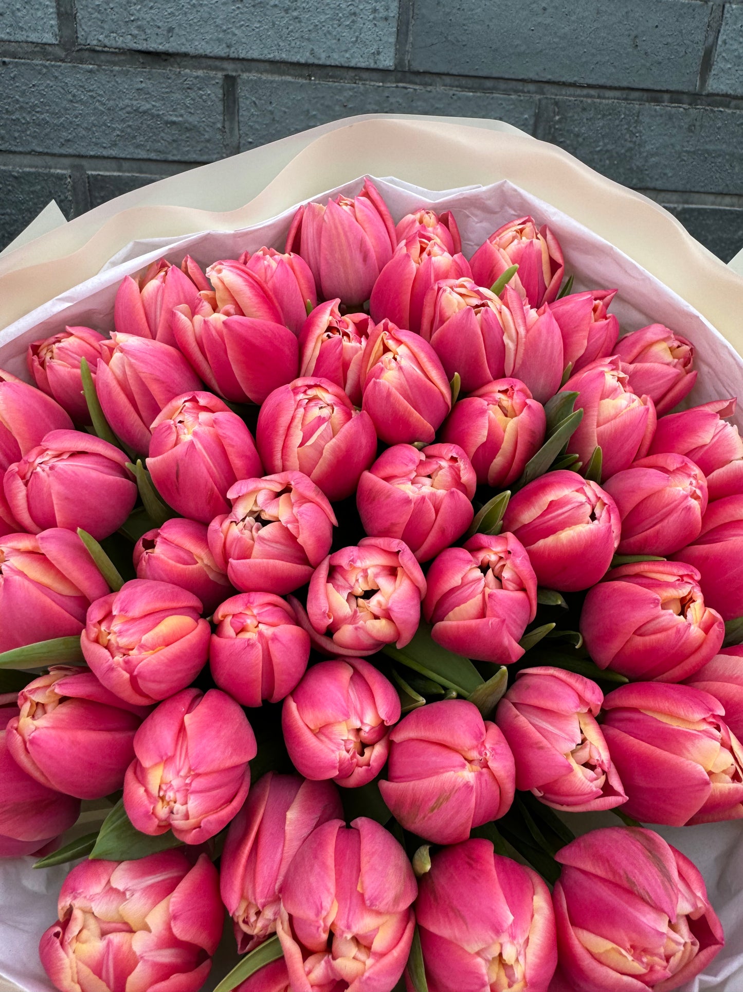 Mono bouquet of coral peony tulips