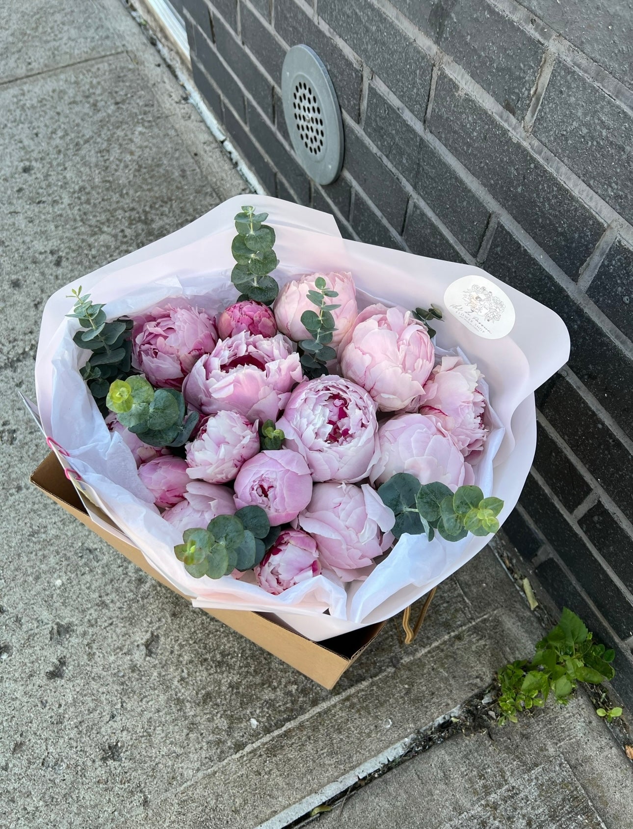 Pink Peonies & Eucalyptus.