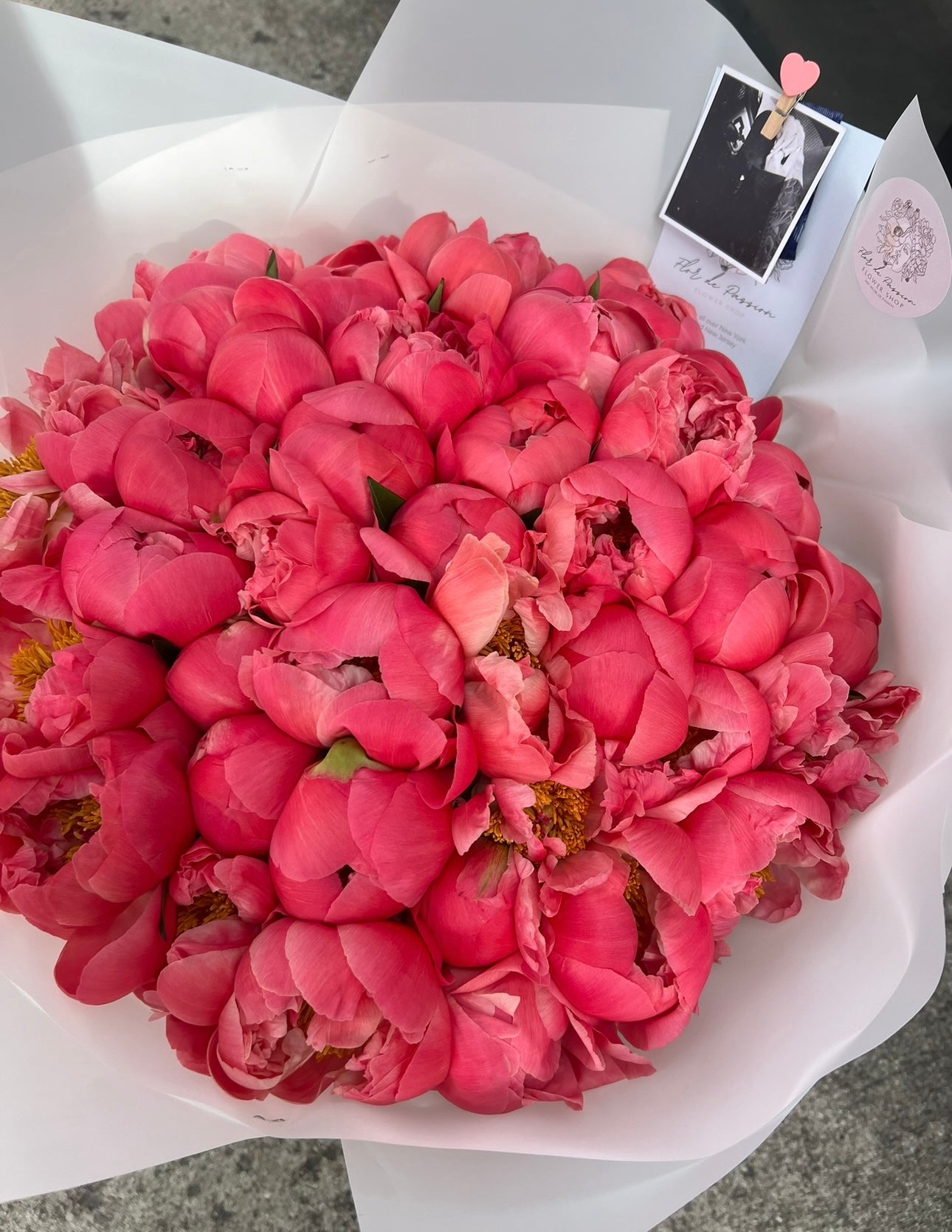 Coral Charm Peonies
