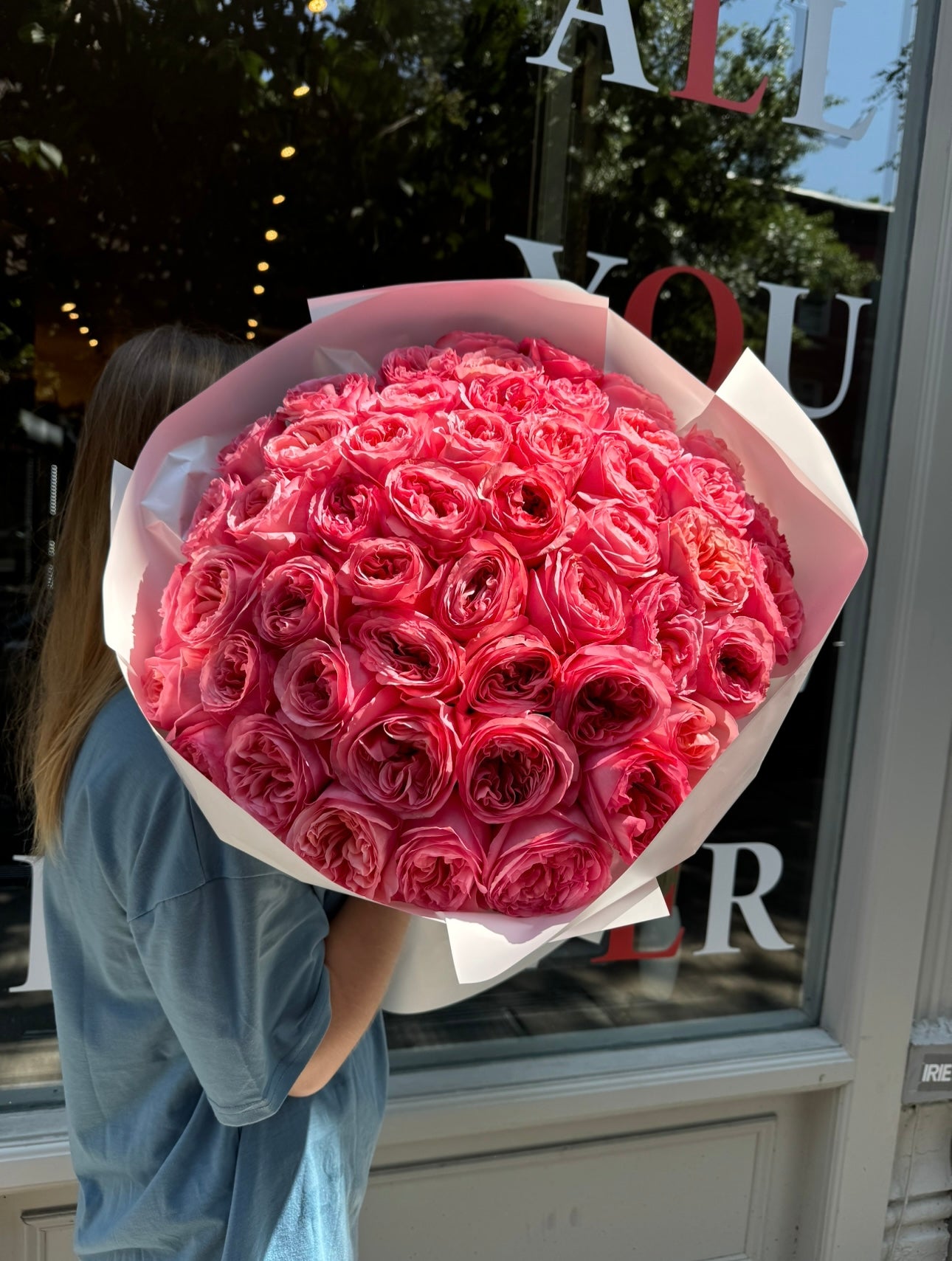 Pink Expression Garden Roses