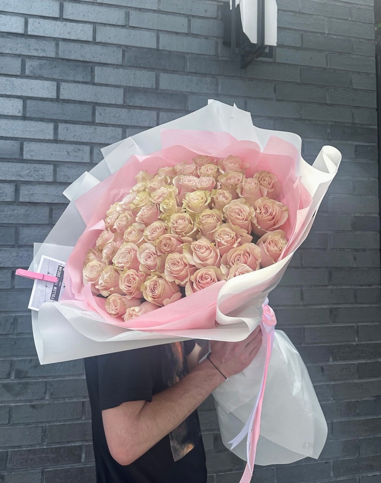 Pink Mondial Roses